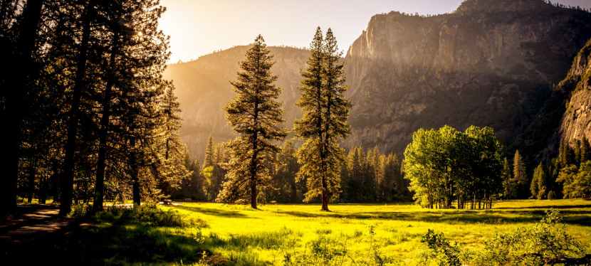 The Family Community&nbsp;Network